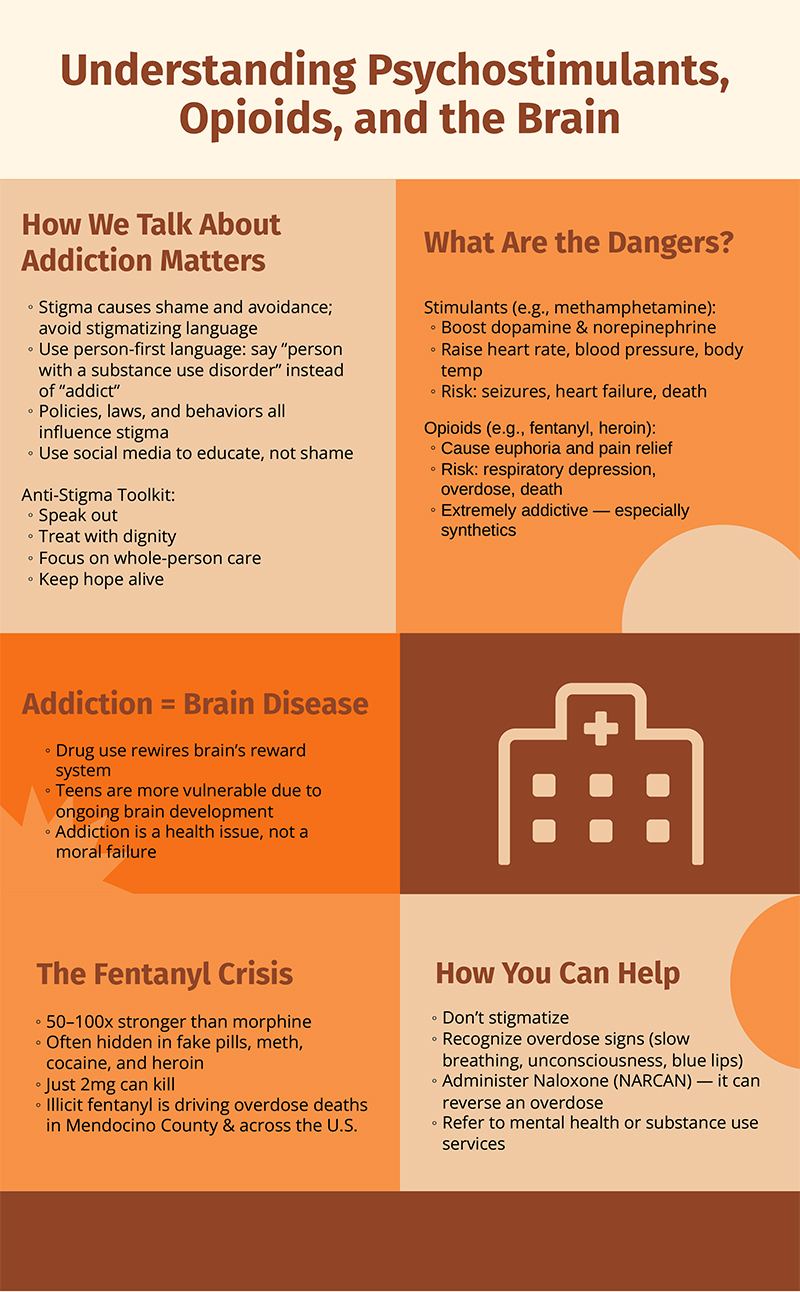 Understanding Psychostimulants, Opioids, and the Brain